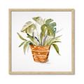 Picture of Palm Plant _GroupedProduct_Square_Framed_Matted_