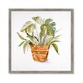 Picture of Palm Plant _GroupedProduct_Square_Framed_Matted_