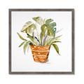 Picture of Palm Plant _GroupedProduct_Square_Framed_Matted_