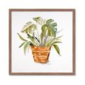 Picture of Palm Plant _GroupedProduct_Square_Framed_Matted_