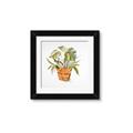 Picture of Palm Plant _GroupedProduct_Square_Framed_Matted_