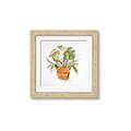Picture of Palm Plant _GroupedProduct_Square_Framed_Matted_