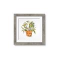 Picture of Palm Plant _GroupedProduct_Square_Framed_Matted_