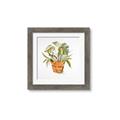 Picture of Palm Plant _GroupedProduct_Square_Framed_Matted_