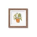 Picture of Palm Plant _GroupedProduct_Square_Framed_Matted_