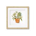 Picture of Palm Plant _GroupedProduct_Square_Framed_Matted_