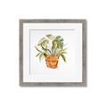 Picture of Palm Plant _GroupedProduct_Square_Framed_Matted_