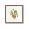Picture of Palm Plant _GroupedProduct_Square_Framed_Matted_
