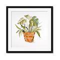Picture of Palm Plant _GroupedProduct_Square_Framed_Matted_