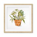 Picture of Palm Plant _GroupedProduct_Square_Framed_Matted_