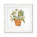 Picture of Palm Plant _GroupedProduct_Square_Framed_Matted_