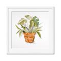 Picture of Palm Plant _GroupedProduct_Square_Framed_Matted_