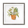 Picture of Palm Plant _GroupedProduct_Square_Framed_Matted_