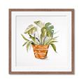 Picture of Palm Plant _GroupedProduct_Square_Framed_Matted_
