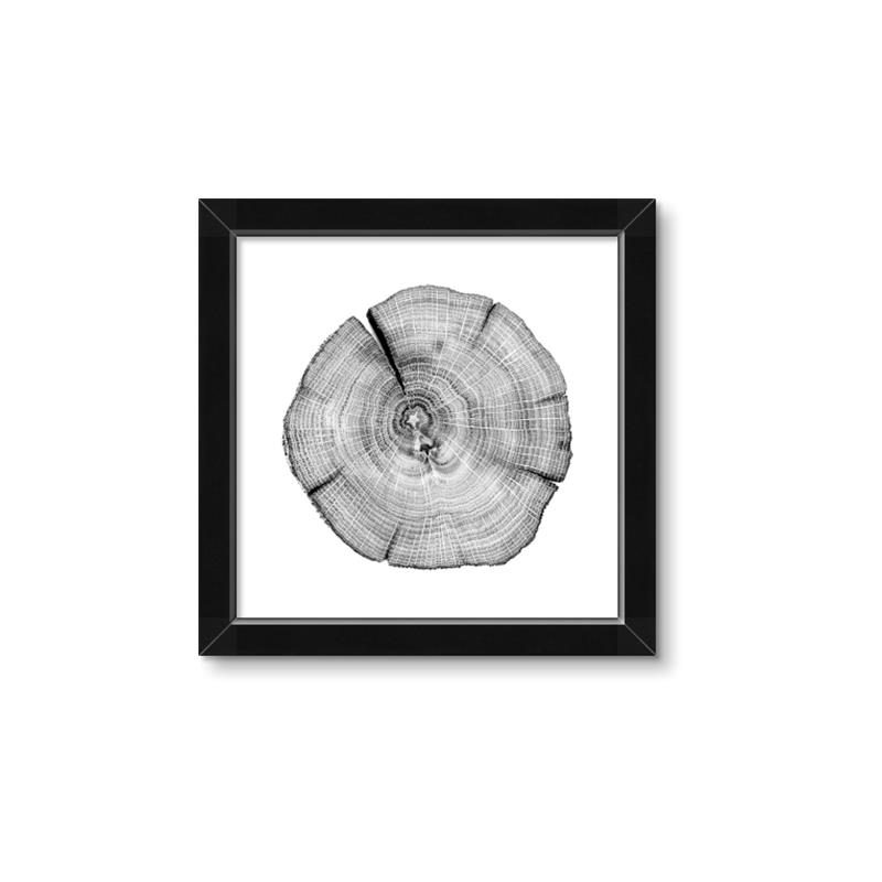 Picture of Logging In _GroupedProduct_Square_Photography _GroupedProduct_Square_Framed_Matted_