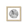 Picture of Logging In _GroupedProduct_Square_Photography _GroupedProduct_Square_Framed_Matted_