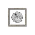 Picture of Logging In _GroupedProduct_Square_Photography _GroupedProduct_Square_Framed_Matted_
