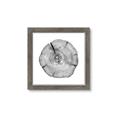 Picture of Logging In _GroupedProduct_Square_Photography _GroupedProduct_Square_Framed_Matted_