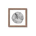Picture of Logging In _GroupedProduct_Square_Photography _GroupedProduct_Square_Framed_Matted_