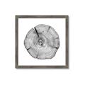 Picture of Logging In _GroupedProduct_Square_Photography _GroupedProduct_Square_Framed_Matted_