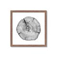 Picture of Logging In _GroupedProduct_Square_Photography _GroupedProduct_Square_Framed_Matted_