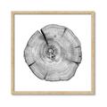 Picture of Logging In _GroupedProduct_Square_Photography _GroupedProduct_Square_Framed_Matted_