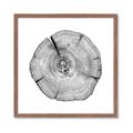 Picture of Logging In _GroupedProduct_Square_Photography _GroupedProduct_Square_Framed_Matted_