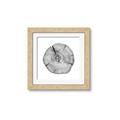 Picture of Logging In _GroupedProduct_Square_Photography _GroupedProduct_Square_Framed_Matted_
