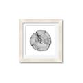 Picture of Logging In _GroupedProduct_Square_Photography _GroupedProduct_Square_Framed_Matted_