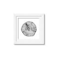 Picture of Logging In _GroupedProduct_Square_Photography _GroupedProduct_Square_Framed_Matted_