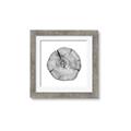 Picture of Logging In _GroupedProduct_Square_Photography _GroupedProduct_Square_Framed_Matted_