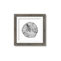 Picture of Logging In _GroupedProduct_Square_Photography _GroupedProduct_Square_Framed_Matted_