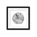 Picture of Logging In _GroupedProduct_Square_Photography _GroupedProduct_Square_Framed_Matted_