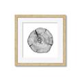 Picture of Logging In _GroupedProduct_Square_Photography _GroupedProduct_Square_Framed_Matted_