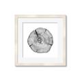 Picture of Logging In _GroupedProduct_Square_Photography _GroupedProduct_Square_Framed_Matted_