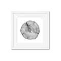 Picture of Logging In _GroupedProduct_Square_Photography _GroupedProduct_Square_Framed_Matted_