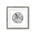 Picture of Logging In _GroupedProduct_Square_Photography _GroupedProduct_Square_Framed_Matted_