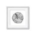 Picture of Logging In _GroupedProduct_Square_Photography _GroupedProduct_Square_Framed_Matted_