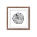 Picture of Logging In _GroupedProduct_Square_Photography _GroupedProduct_Square_Framed_Matted_