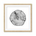 Picture of Logging In _GroupedProduct_Square_Photography _GroupedProduct_Square_Framed_Matted_