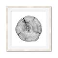 Picture of Logging In _GroupedProduct_Square_Photography _GroupedProduct_Square_Framed_Matted_