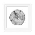 Picture of Logging In _GroupedProduct_Square_Photography _GroupedProduct_Square_Framed_Matted_