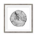 Picture of Logging In _GroupedProduct_Square_Photography _GroupedProduct_Square_Framed_Matted_