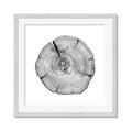 Picture of Logging In _GroupedProduct_Square_Photography _GroupedProduct_Square_Framed_Matted_