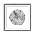 Picture of Logging In _GroupedProduct_Square_Photography _GroupedProduct_Square_Framed_Matted_