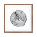 Picture of Logging In _GroupedProduct_Square_Photography _GroupedProduct_Square_Framed_Matted_