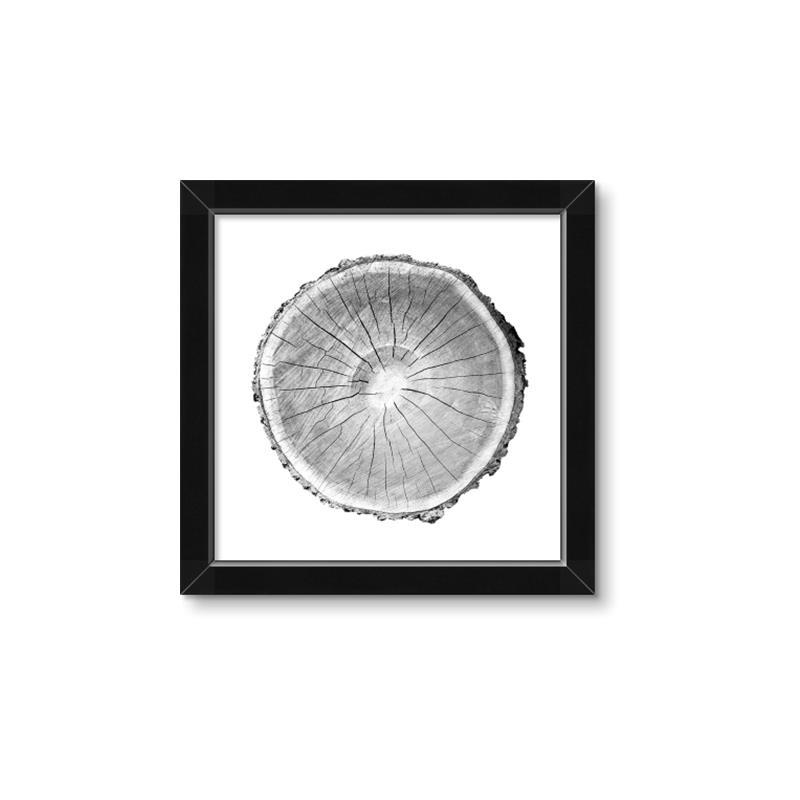 Picture of Logging In ll _GroupedProduct_Square_Photography _GroupedProduct_Square_Framed_Matted_