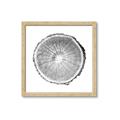 Picture of Logging In ll _GroupedProduct_Square_Photography _GroupedProduct_Square_Framed_Matted_