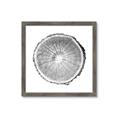 Picture of Logging In ll _GroupedProduct_Square_Photography _GroupedProduct_Square_Framed_Matted_