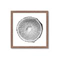 Picture of Logging In ll _GroupedProduct_Square_Photography _GroupedProduct_Square_Framed_Matted_